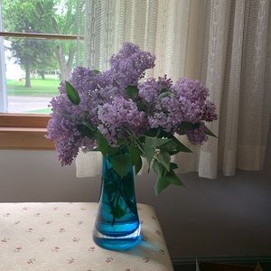 Meet your Posher, Carissa